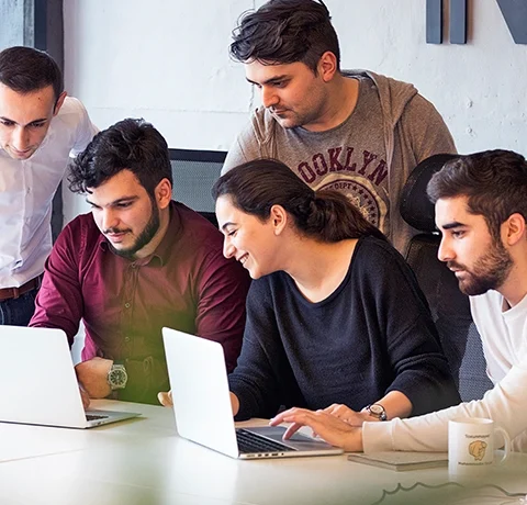 Building an International Growth Structure for a German Software Company