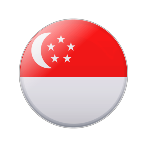 —Pngtree—singapore flag clip_6453797 —Pngtree—singapore flag clip_6453797